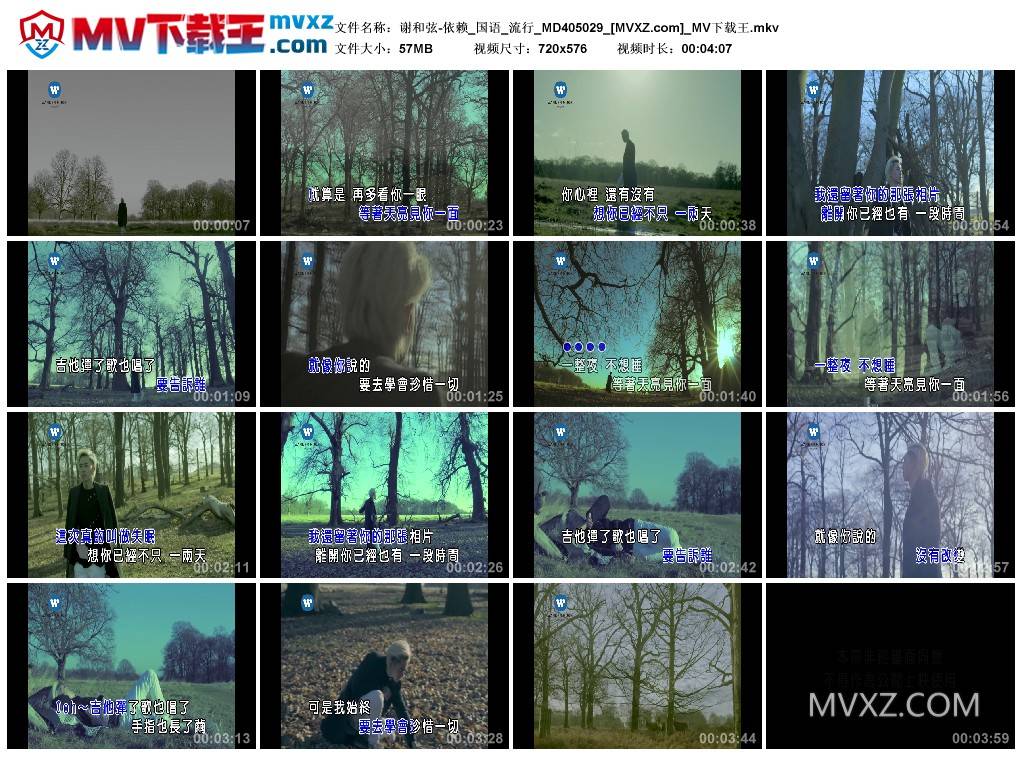 谢和弦-依赖_国语_流行_MD405029